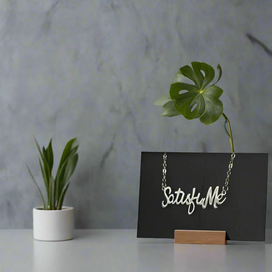 Satisfi.Me Silver Necklace